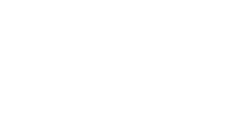 DPI+